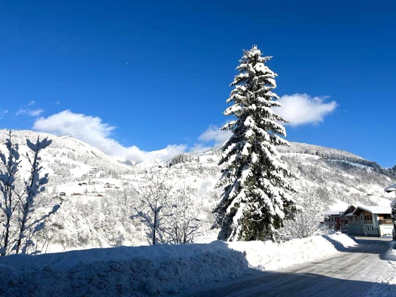 Penthouse Julia Naehe Badesee Mit Infrarotsauna -Zell Am See Kaprun นีเดิร์นซิลล์ ภายนอก รูปภาพ